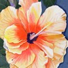 2nd_hibiscus__thumb