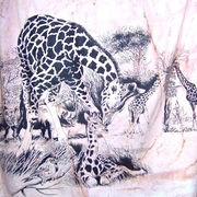 Giraffes_49946_card