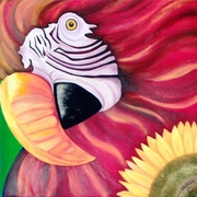Parrot_20complete_42031_card