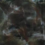 Bild_2139_card