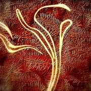 Fibre_card