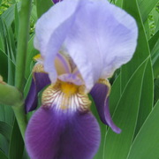 Img_0136_card