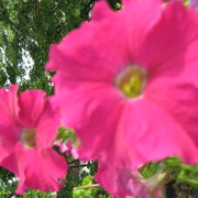 Img_0152_1__card