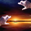 Echos_thumb