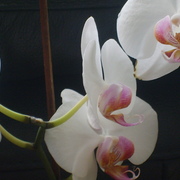 S6000149_card