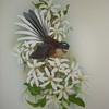 Pied_fantail_on_nz_clematis_thumb