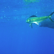 P5162650_card