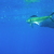 P5162650_tiny_square