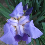 Img_0162_card