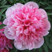 Img_0168_card