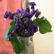 Img_1853_card