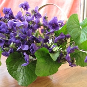 Img_1861_card