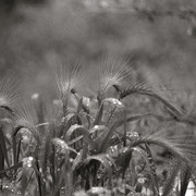 Photo11_11_card