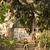 Dsc08784_tiny_square