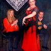Flamenco__4_thumb