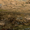 Reddscn4154_thumb