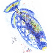 15_card
