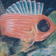 Ud1_card