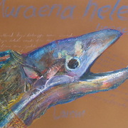Img_7120_card