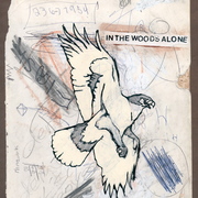 Hawk_card