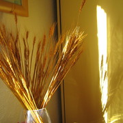 Img_0179_card