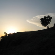 Img_0183_card