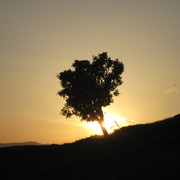 Img_0184_card