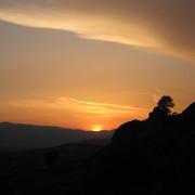 Img_0199_card
