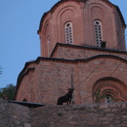 Img_0202_card