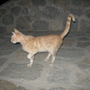 Img_0213_card