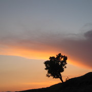 Img_0206_card