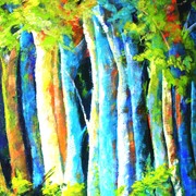 Floresta_amaz_nica_vii_card