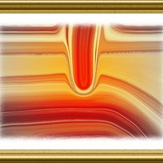 Kolata_orange__2__card