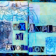 Examples_of_evolution_card
