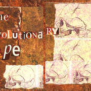 The_evolutionary_ape_card