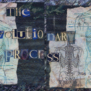 The_evolutionary_process_card