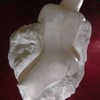 P1020145_thumb
