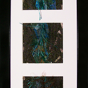 Peacockfeathers_web700h_card
