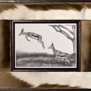 Ms0010_springbok_f_card