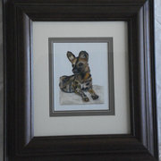 Ms0015_wilddog_f_card