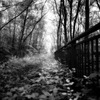 Abandoned_bridge_thumb