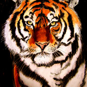 Tigre_card