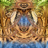 Mangrove800_thumb