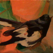 Birdy_1_card