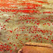 __maggio_sto_seduto_come_papavero_rosso_sotto_la_mia_torre_