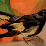 Birdy_almost_done_card