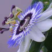 My_photos_003_card