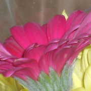 My_photos_015_card