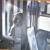 Busshelter_thumb