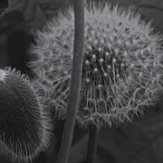Dsc01225editedii2_card